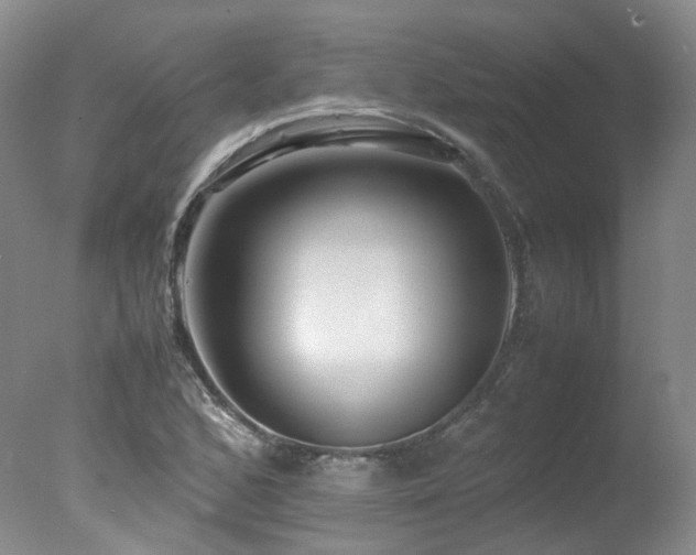 X0000078021168200610271226