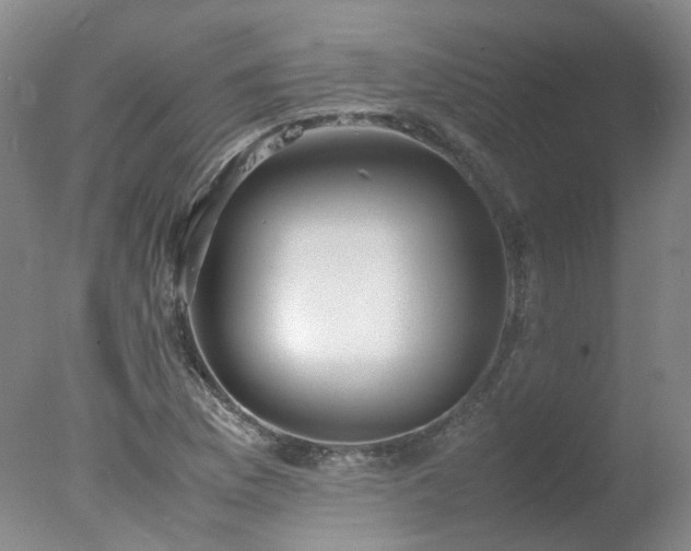 X0000078021169200610271226