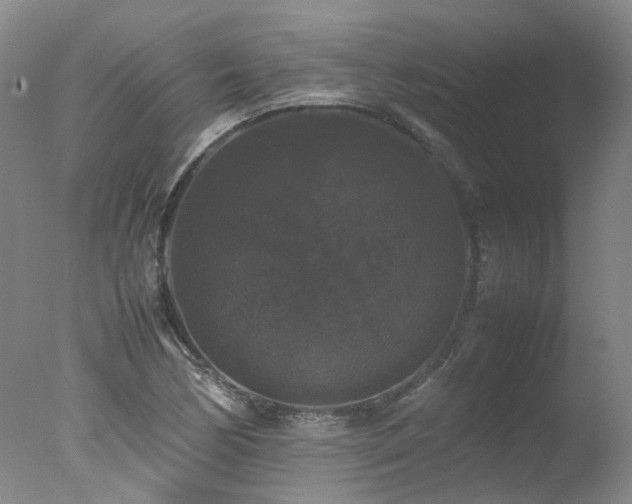 X0000078021170200610271226