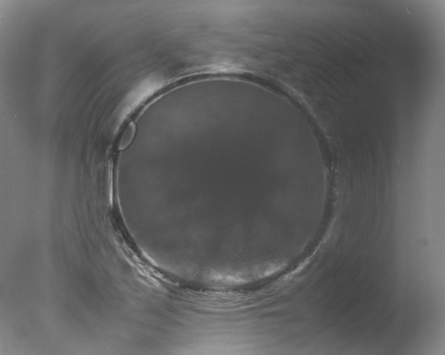 X0000078021171200610271226