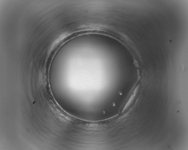 X0000078021172200610271226