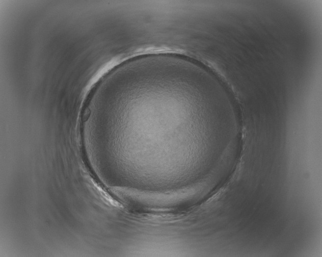 X0000078021173200610271226