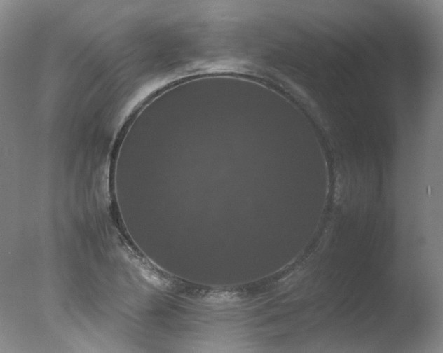 X0000078021174200610271226