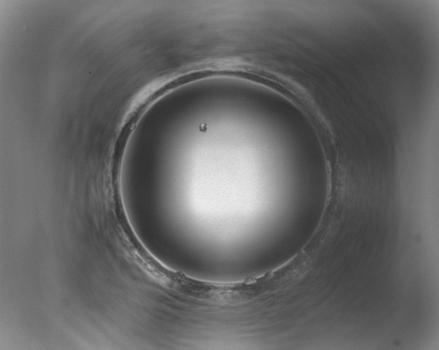 X0000078021176200610271226