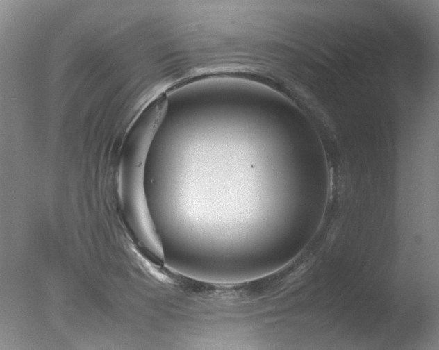 X0000078021177200610271226