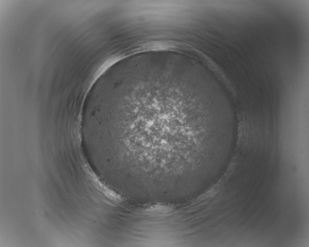 X0000078021178200610271226