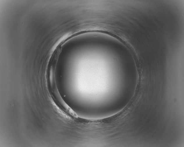 X0000078021181200610271226