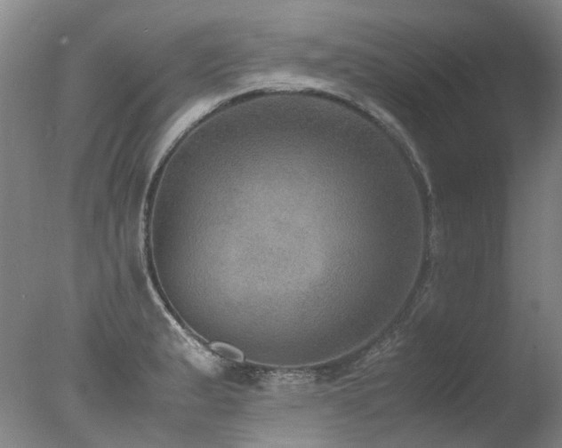 X0000078021183200610271226