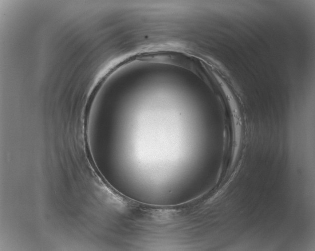 X0000078021184200610271226