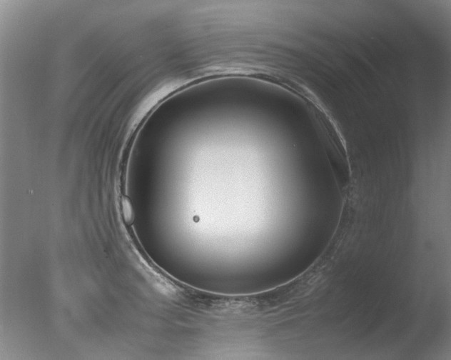 X0000078021187200610271226