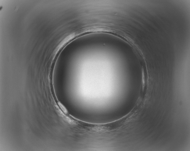 X0000078021189200610271226