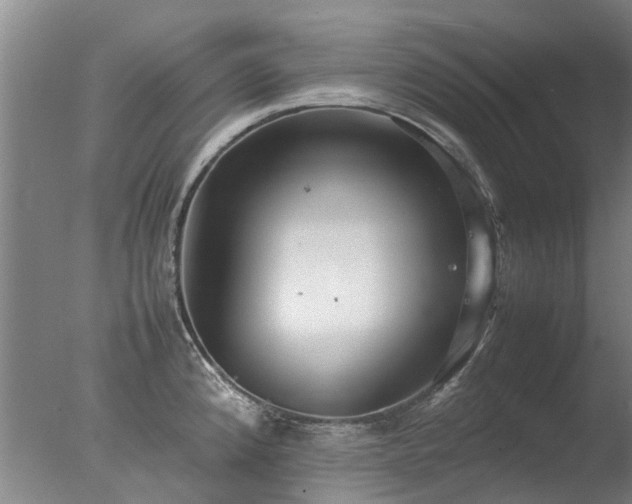 X0000078021192200610271226