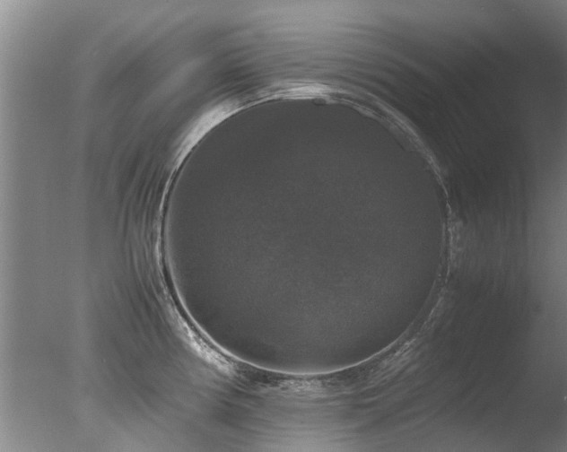 X0000078021194200610271226