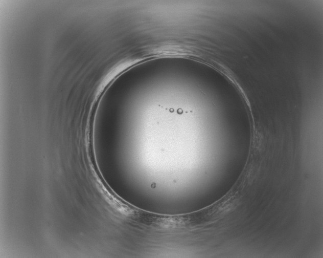 X0000078021195200610271226