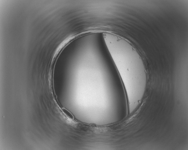 X0000078021196200610271226