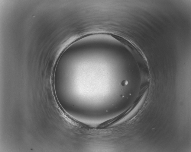 X0000078021197200610271226