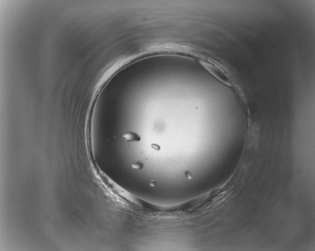 X0000078021199200610271226