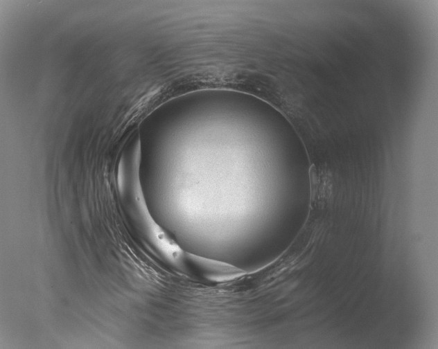 X0000078021202200610271225