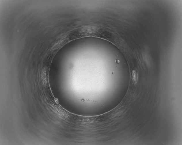 X0000078021203200610271225