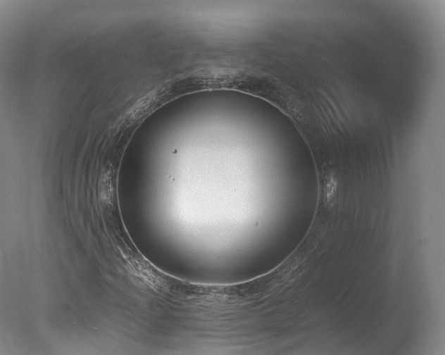 X0000078021204200610271225