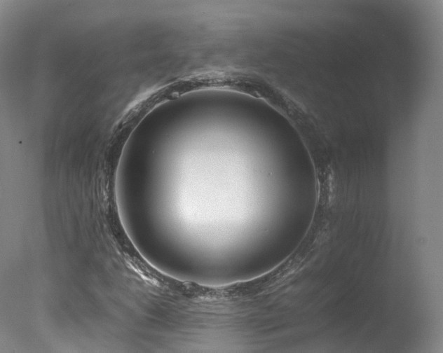 X0000078021206200610271225