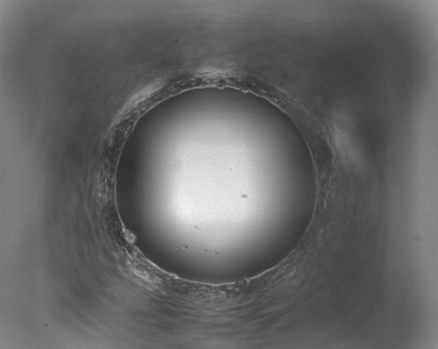 X0000078021207200610271225