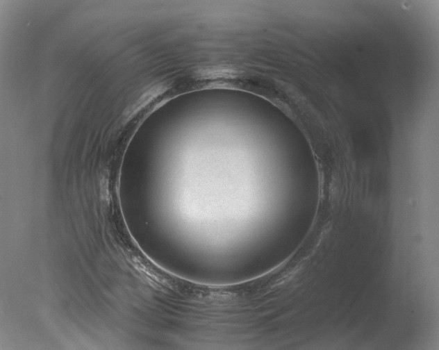 X0000078021209200610271225