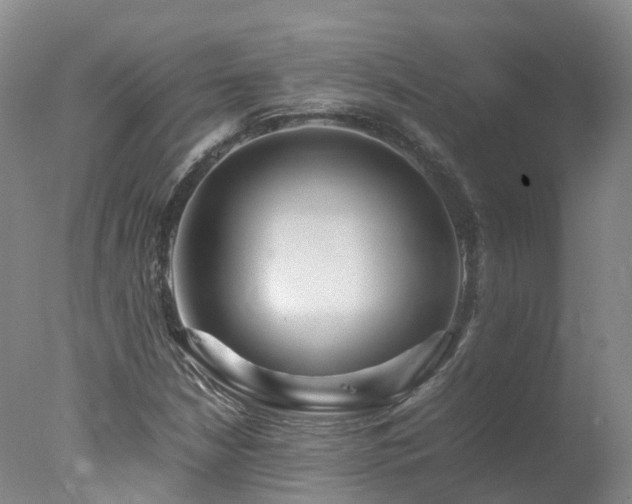 X0000078021210200610271225