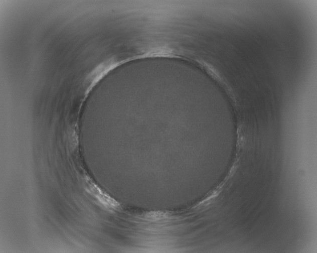 X0000078021212200610271225