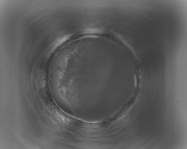 X0000078021213200610271225