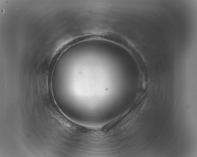 X0000078021214200610271225