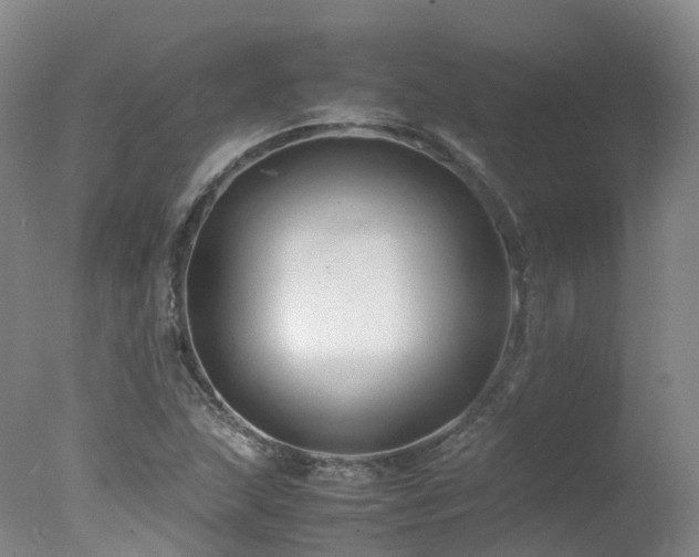 X0000078021215200610271225