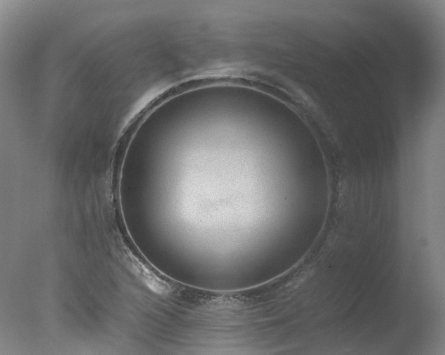 X0000078021216200610271225