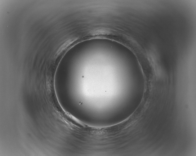 X0000078021217200610271225