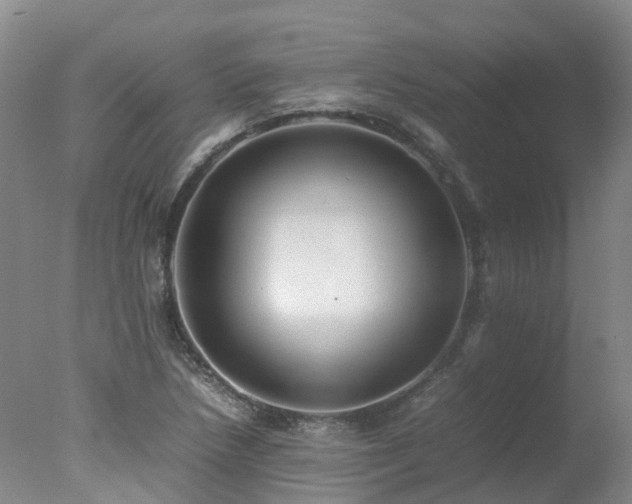 X0000078021218200610271225