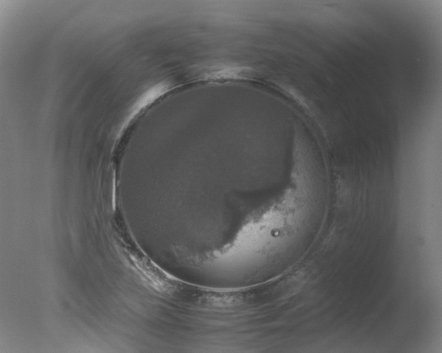 X0000078021219200610271225