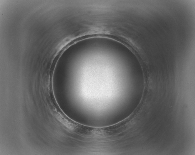 X0000078021220200610271225