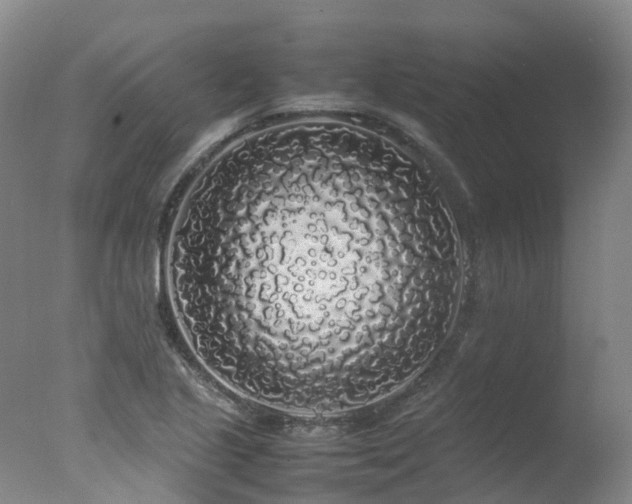 X0000078021221200610271225