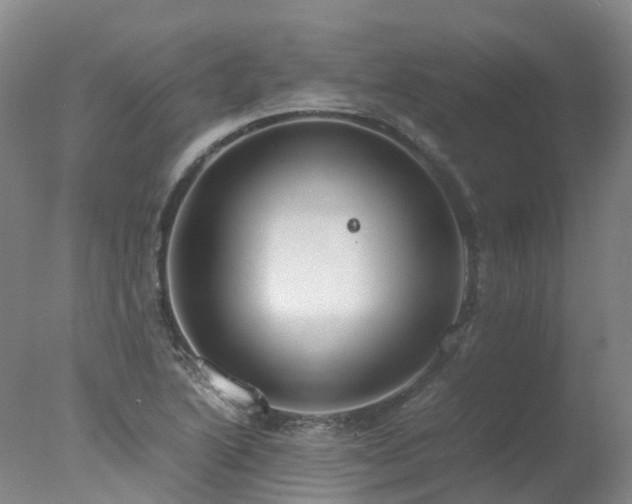 X0000078021222200610271225