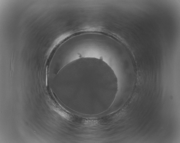 X0000078021223200610271225