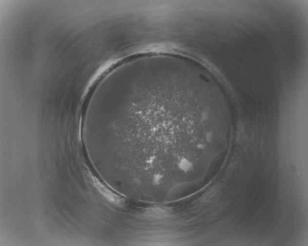 X0000078021224200610271225