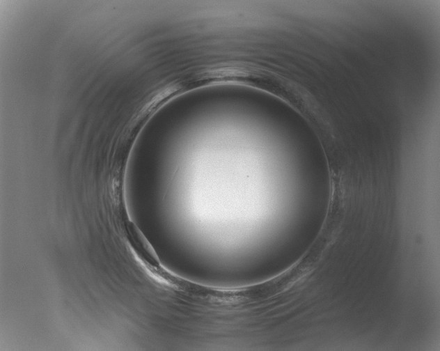 X0000078021225200610271225