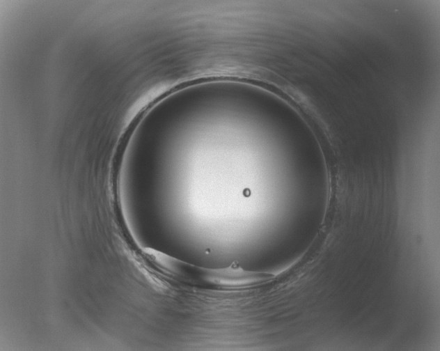 X0000078021230200610271225