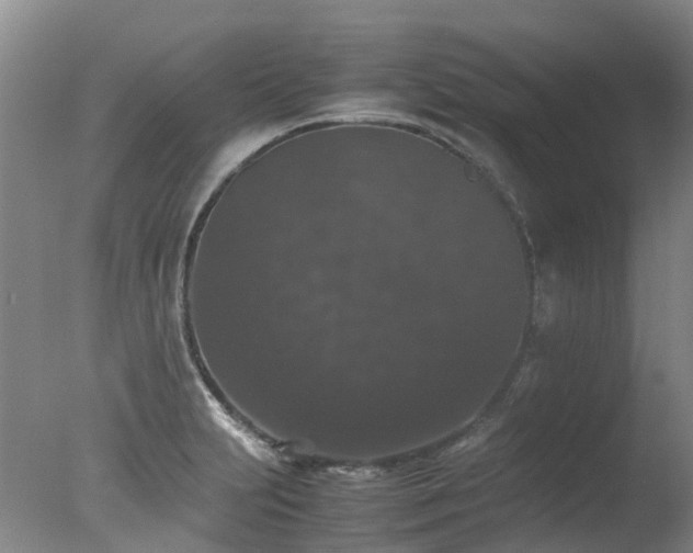 X0000078021231200610271225