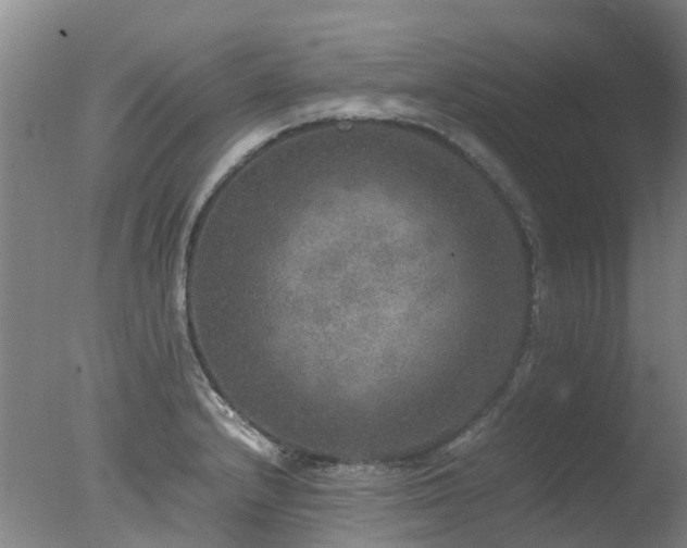 X0000078021232200610271225