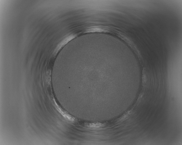 X0000078021233200610271225