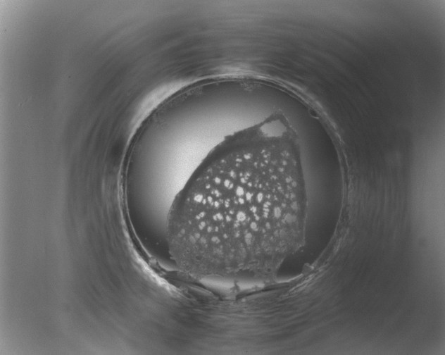 X0000078021239200610271225