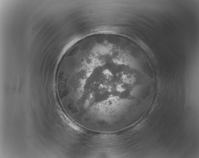 X0000078021240200610271225