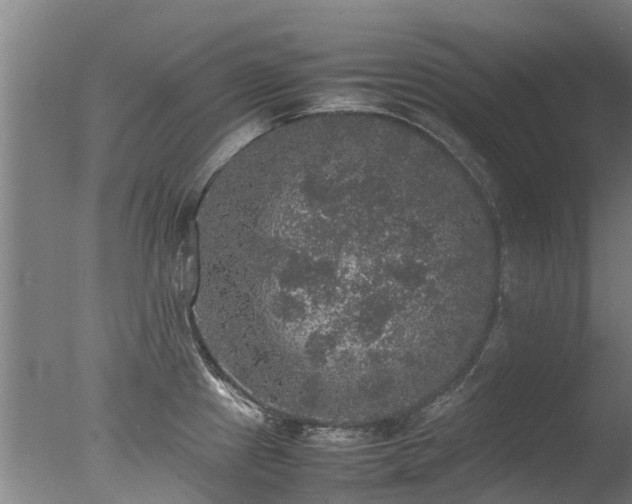 X0000078021241200610271225