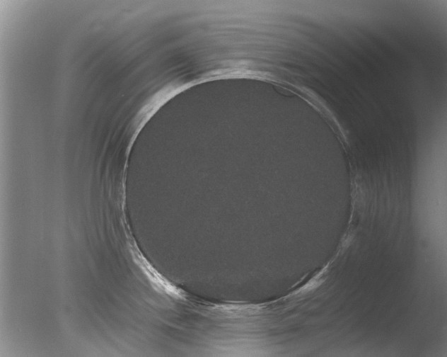 X0000078021244200610271225